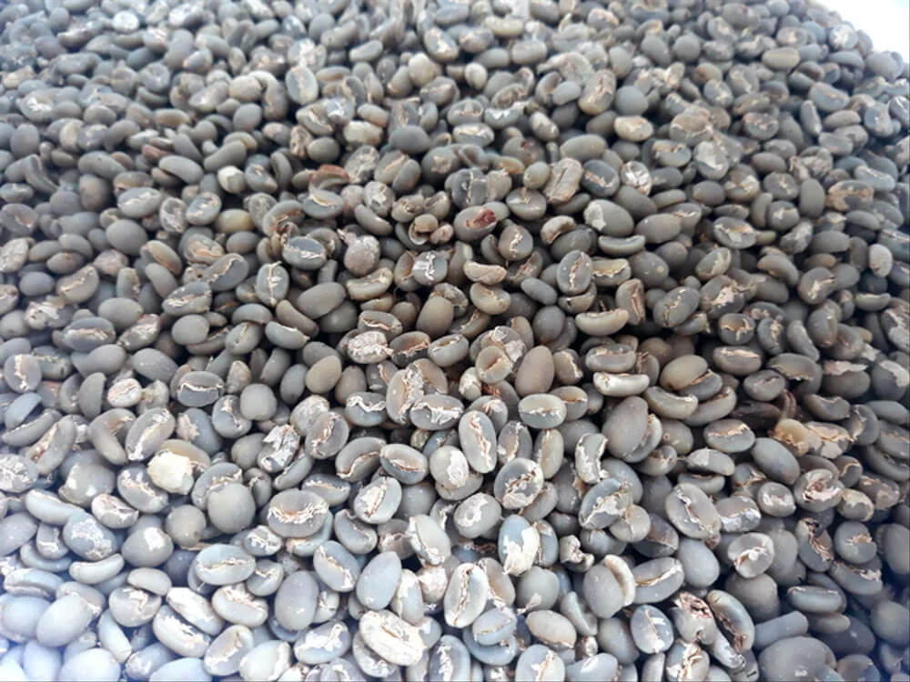 Сушка зерна без пачмента, или вет-халл