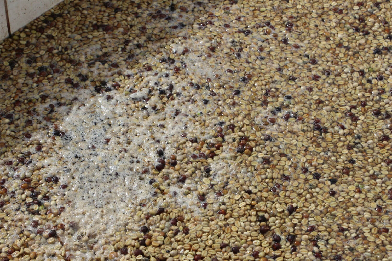 Сушка в&nbsp;пачменте, или мытая обработка